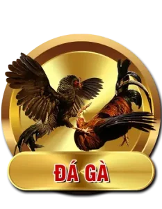 đá gà 8xbet